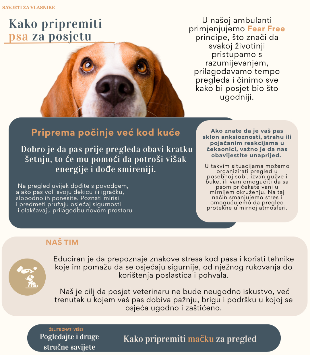 Kako pripremiti psa